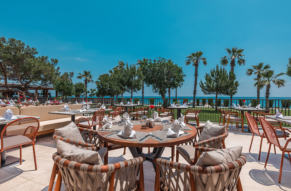 <p>An Unforgettable Culinary Journey in an Aesthetic Atmosphere</p>