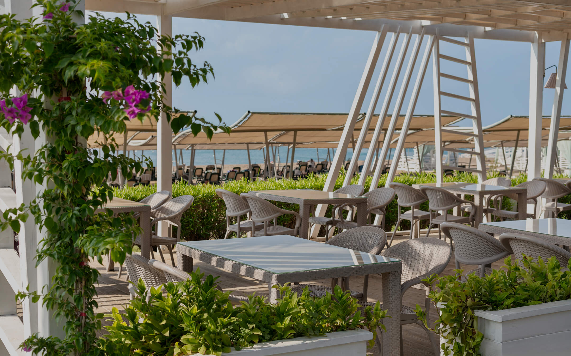 <p>Pranzo Restoran</p>