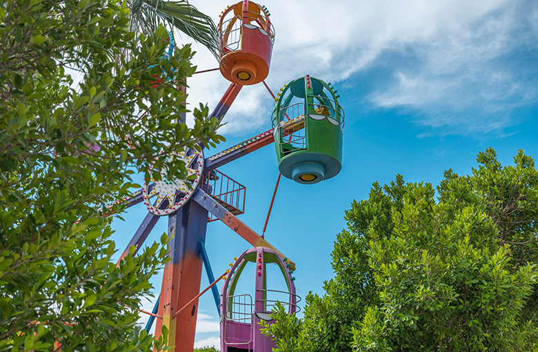 <p>Amusement Park</p>