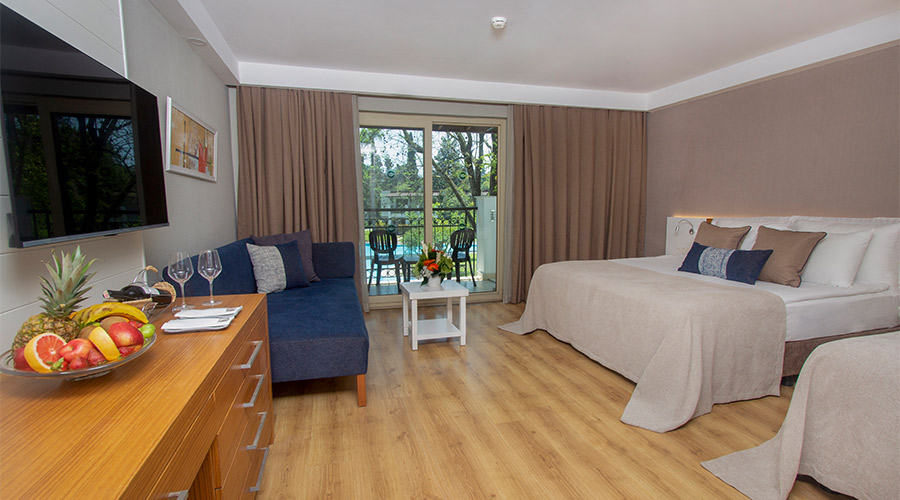 <p>Deluxe Superior Room</p>