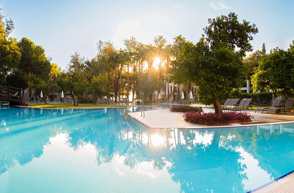 <p>A realm of secluded water surrounded by citrus aromas!</p>